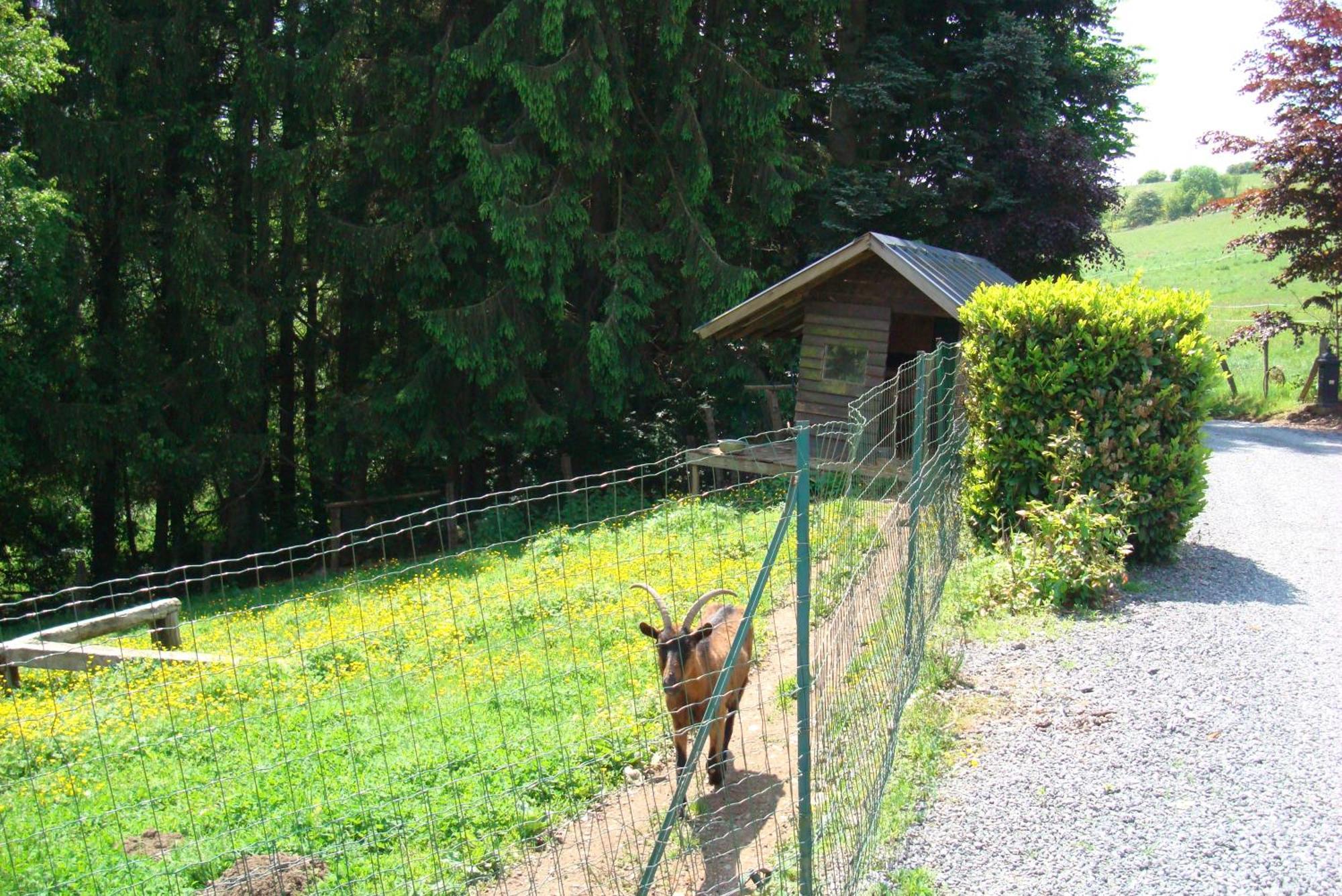 Gîte La Gernelle Bouillon Esterno foto
